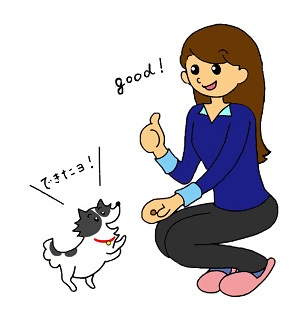しつけトレーニング中の飼主と犬のイラストです